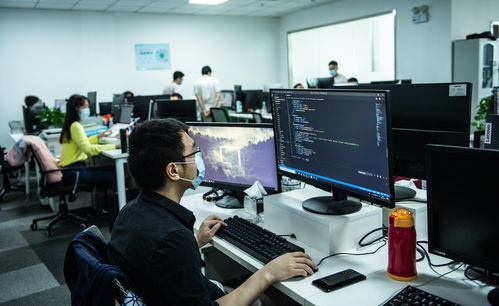 新興產(chǎn)業(yè)吸引年輕人返鄉(xiāng)就業(yè) 計算機軟件咨詢的機遇與挑戰(zhàn)