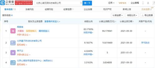 計算機軟件咨詢 助力企業數字化轉型升級的智慧引擎